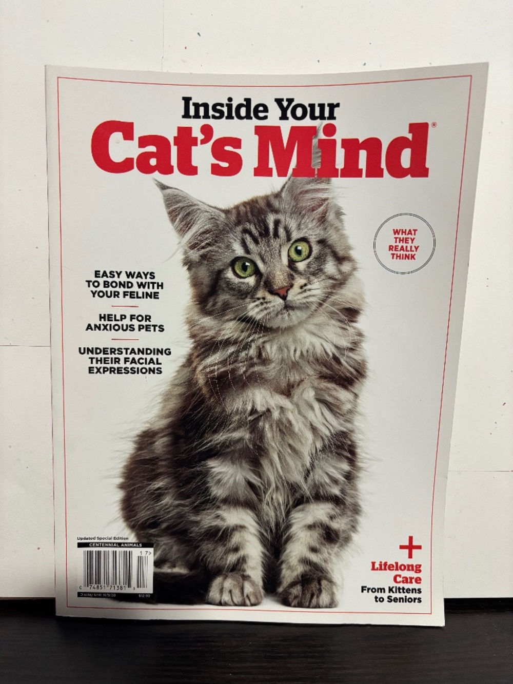 Cats Mind Magazine